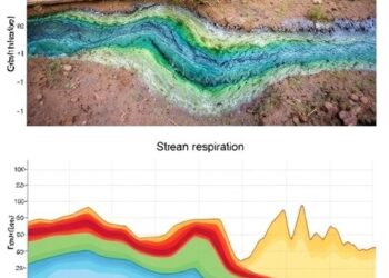 Sediment Drives Spatial Differences in Stream Respiration — Earth Science
