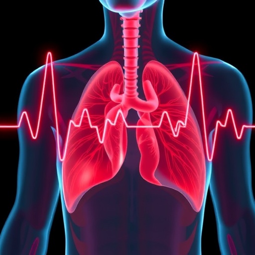 Seismocardiography Estimates Cardiorespiratory Fitness in Elderly — Medicine