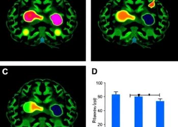 Sex-Specific Brain Rescue in 22q11.2 Deletion Mice — Psychology & Psychiatry