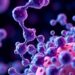 Shrunken Genomes, Rapid Evolution: New Study Uncovers Aggressive Cancer Adaptation — Cancer