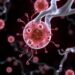 Spermine: Natural Iron Chelator Prevents Ferroptosis — Medicine