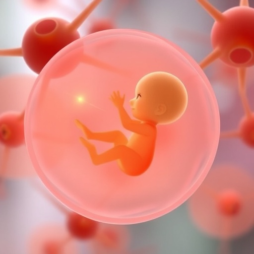 Stem Cell-Based Embryonic Models: Unlocking New Insights into Infertility — Biology