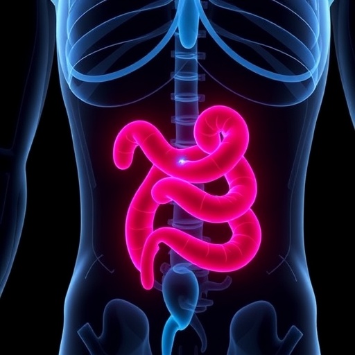 Study Reveals Moderate Quality of Crohn’s Disease Instagram Reels, Highlights Misinformation in Medical Advice and Calls for Critical Evaluation of Social Media Health Content — Medicine