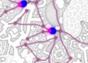 Sympathetic Signaling Eases ARDS via HDC/SLC7A11 Axis — Medicine