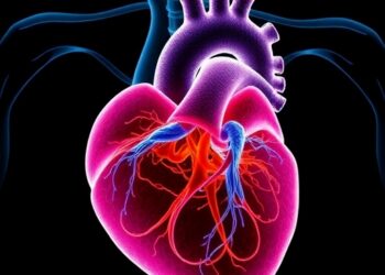 Systemic and Epicardial Fat in Cardiometabolic Disease — Medicine