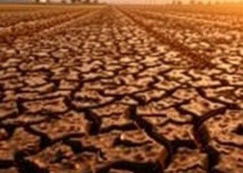 Ten Essential Drought Research and Policy Insights — Marine