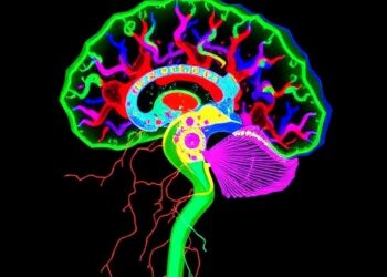 The Degenerome: New Method Tracks White Matter Integrity — Medicine