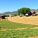 Three Spanish Universities Launch RESINA Project to Unlock Innovation Potential in Rural Areas — Social Science