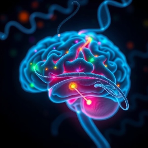 Tiny Genetic Fragments Crucial for Signaling Brain Rest Identified — Biology
