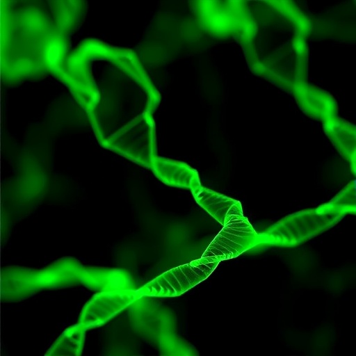 TtAgo-DCTP Enables One-Step MicroRNA Detection — Medicine