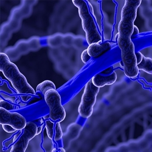 Type I Interferon Signature Unlinked to Blau Syndrome Activity — Technology and Engineering