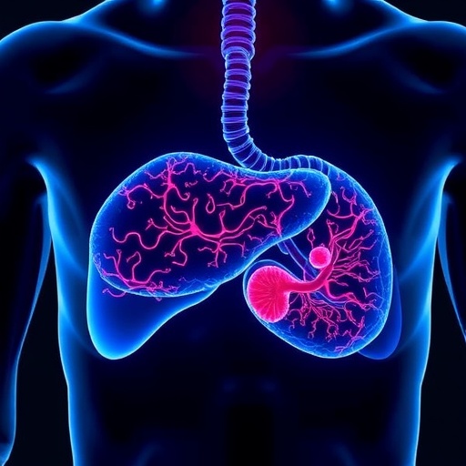 UCLA Researchers Secure $3.2 Million NIH Grant to Create AI-Driven Personalized Liver Cancer Therapy — Medicine