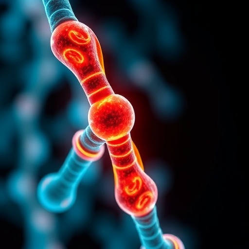University of Pittsburgh Scientists Uncover Surprising Chromosome Interaction Driving Aggressive Cancers — Medicine