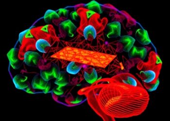 Unraveling GluN2B Deletion in Epileptic Encephalopathies — Psychology & Psychiatry