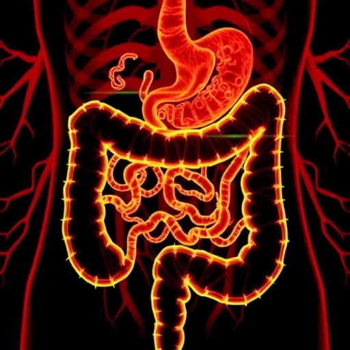 Unraveling PET-MPs’ Role in Inflammatory Bowel Disease — Technology and Engineering