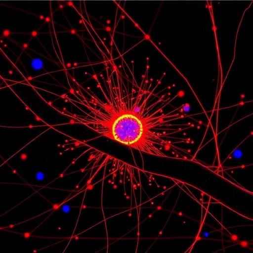 Unraveling Random Cellular Fluctuations with Label-Free Interferometric Scattering Microscopy — Cancer