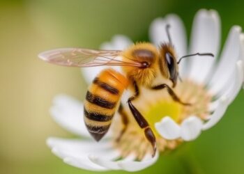 Unraveling the Genetic Buzz: Insights into Worker Honeybee Metamorphosis — Biology