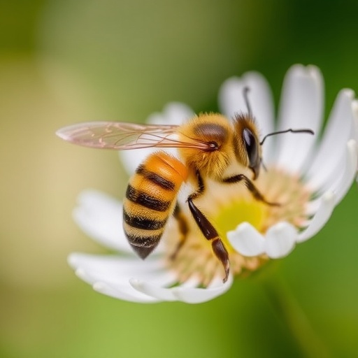 Unraveling the Genetic Buzz: Insights into Worker Honeybee Metamorphosis — Biology