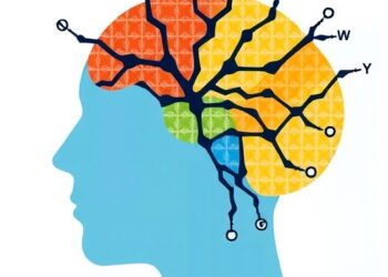 Value Representation: Key Transdiagnostic Risk in Psychosis — Psychology & Psychiatry
