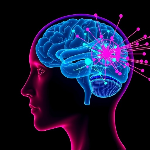 Visual Cues Shape Brain Networks After ACL Surgery — Technology and Engineering