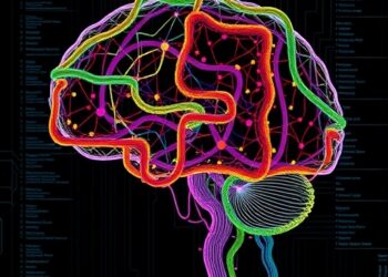 Whole-Genome Duplication Drives Vertebrate Brain Evolution — Medicine