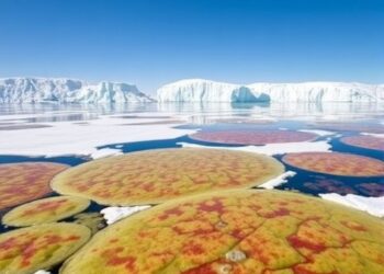 Widespread Glacier Algal Blooms Grow Across Greenland Ice — Earth Science