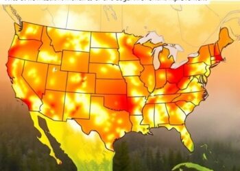 Wildfire Emissions Undermine Over a Decade of Ozone Improvement — Earth Science