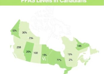 Work-Related Factors Linked to PFAS Levels in Canadians — Medicine