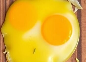 Ziziphus, Probiotics Cut Egg Yolk Cholesterol in Hens — Technology and Engineering