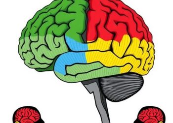 Antagonism Shapes the Brain’s Social Maps — Psychology & Psychiatry
