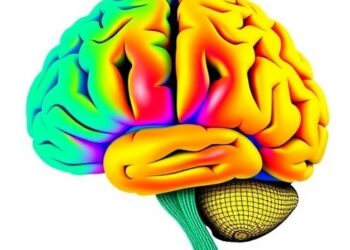 Competing Programs Drive Cortical Sensorimotor Development — Medicine