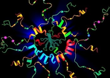 Decoding Ferroptosis: ATF4 and SREBF Roles Revealed — Medicine