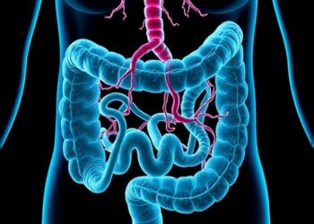 Emerging Research Reveals Impact of Sugar Substitutes on Gut Health and Metabolism — Medicine