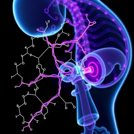 Fixing Congenital Acetylcholine Receptor Defects — Medicine