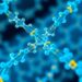 Graz University of Technology Deciphers the Structural Secrets of MOF Thin Films — Chemistry