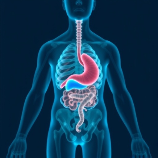 Gut Microbiome: The Secret Architect Shaping Liver Cancer Immunotherapy Outcomes — Cancer