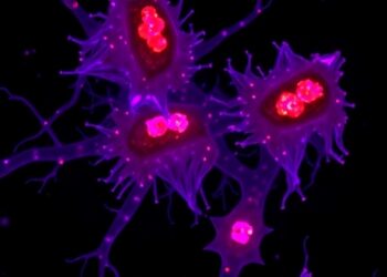 Macrophage UPP1-mtROS-cGAS-NLRP3 Axis Drives Lung Cancer Metastasis — Medicine