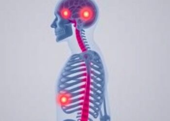 Metabolic Syndrome Alters Schizophrenia Symptoms and Treatment — Psychology & Psychiatry