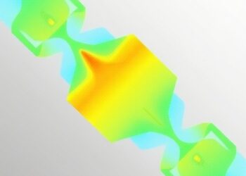 Multiphysics Coupling: Single vs. Multiple DeepONet Branches