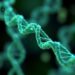 New Study Reveals How “Junk DNA” Fuels Cancer Growth — Cancer