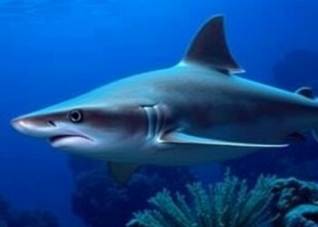 Novel Adomavirus Found in Sevengill Shark Skin Tumors — Medicine