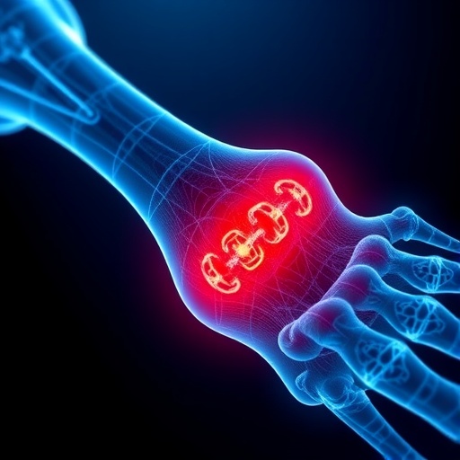 Reinforced Bilayer Membranes Boost Bone Regeneration — Medicine