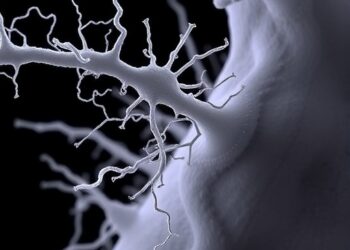 Secreted Endosymbiont Protein Key for Colonization — Medicine