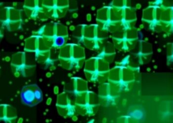 Tissue-resident Granzyme K+ CD8 T cells fuel Crohn’s — Cancer