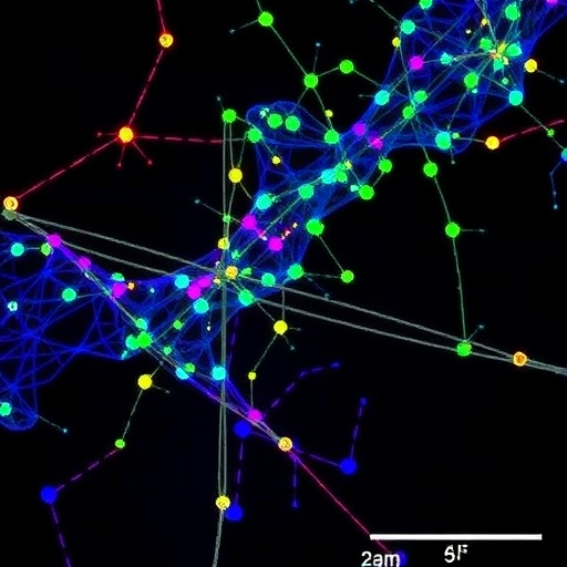 Tubulin Cofactor B Drives Glioblastoma Cell Migration — Medicine