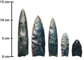 Photo of Clovis fluted points