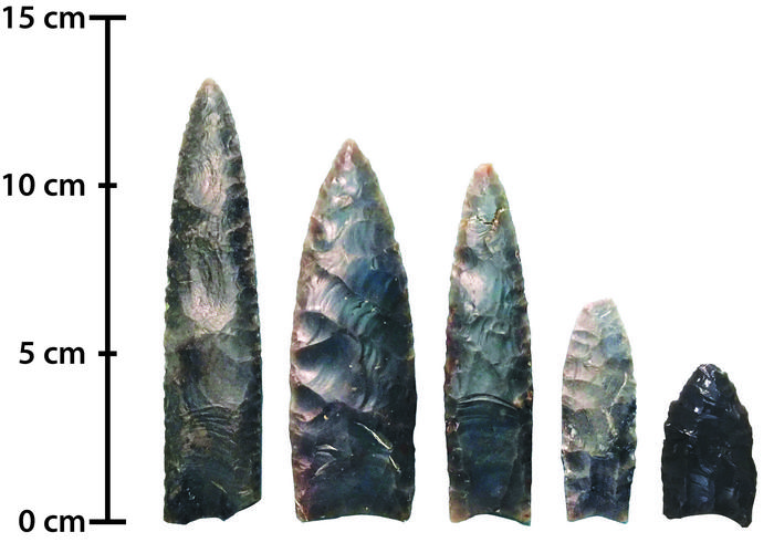 Photo of Clovis fluted points