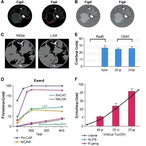 Wnt Signaling Fuels Stemness in SMARCA4-Deficient Tumors — Medicine