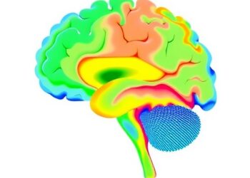 A multimodal consensus parcellation of the human brainstem and its applications in Parkinson’s disease