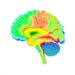 A multimodal consensus parcellation of the human brainstem and its applications in Parkinson’s disease